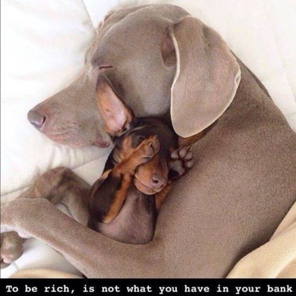 Profile Picture of Pam Strausser (@pammiekay57) on Poshmark