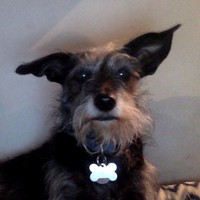 Profile Picture of Liam Forbes (@liam-forbes-12) on Quora