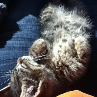 Profile Picture of Jae Hill (@jaethedragon) on Facebook