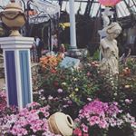 Profile Picture of Ariel Rogers (@ariel._.rogers) on Instagram