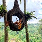 Profile Picture of Julia Eberhardt (@jul_traveladdict) on Instagram