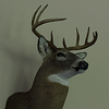 Profile Picture of Aaron Arbogast (@aarbo1998) on Flickr