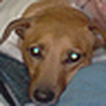 Profile Picture of Robin Loher-jervis (@cadysgmom) on Flickr