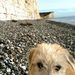 Profile Picture of James von Leyden (@jamesvonleyden) on Pinterest