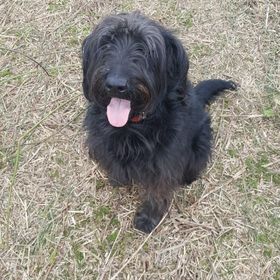 Profile Picture of Juliet McCarthy (@juliet9207) on Pinterest