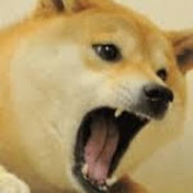 Profile Picture of Tori Stevens (@toristevens2076) on Youtube