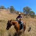Profile Picture of Amy Harrison  Bidgood (@Amy-Harrison-Bidgood) on Facebook