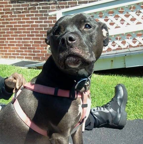 Chrissy Ward - Poshmark Profile Picture of Chrissy Ward (@cvward1126) on Poshmark