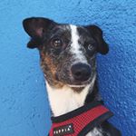 Profile Picture of Hudson Whitney (@mrhudsonwhitney) on Instagram