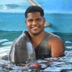 Profile Picture of Aneudy Martínez⚾⚾⚾⚾ (@aneudy_martinez788) on Instagram