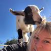 Profile Picture of Stephanie Dobbs (@@stephaniedobbs8) on Tiktok