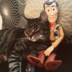 Profile Picture of Kenn Siim Andersen (@kennsiimandersen) on Instagram