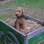 Profile Picture of Karen Schwartzkopf (@karen.schwartzkopf.5) on Facebook