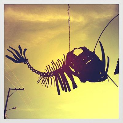 Profile Picture of Carlos Davenport (@lightyeartap59) on Twitter