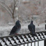 Profile Picture of Brentnall (@brentnallcohla) on Instagram