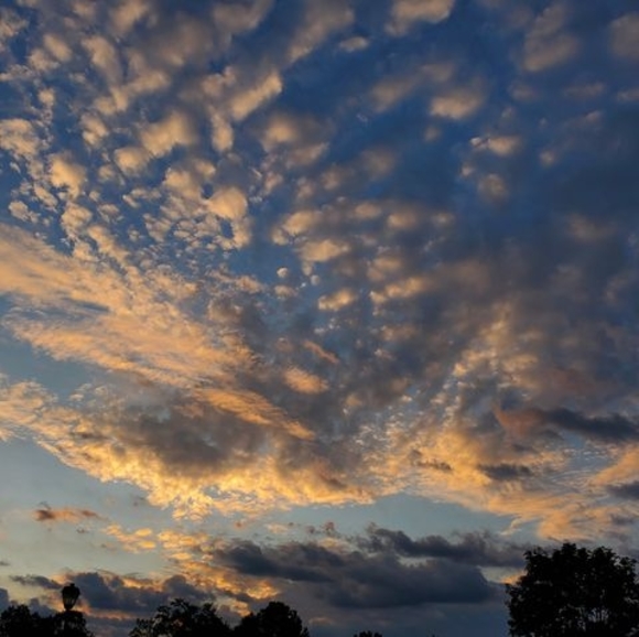 Profile Picture of Isaiah Gobeli (@isaiahgobeli) on Poshmark