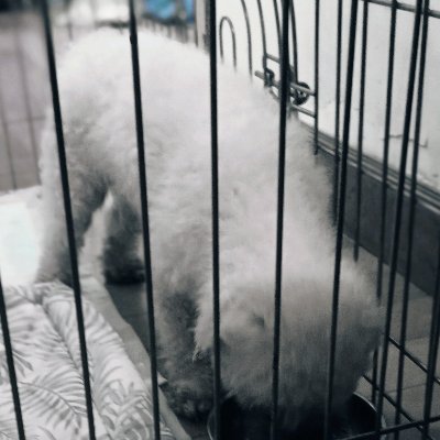 Profile Picture of Dylan Raines (@DylanRaines10) on Twitter