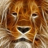Profile Picture of Kristina Dennison (@@kristinadennison) on Tiktok