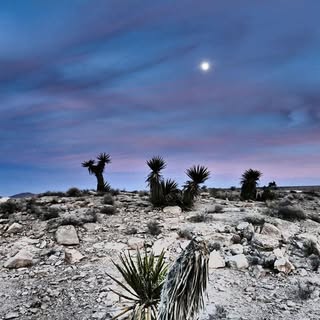 Profile Picture of Steven Fendrick (@stevenfendrick) on Instagram