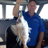 David Willemsen - Quora Profile Picture of David Willemsen (@david-willemsen-1) on Quora