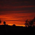 Profile Picture of Aaron Martens (@aaronmartensaaronmartens) on Instagram