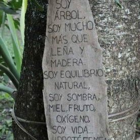 Profile Picture of Andy Palomo (@AndyPalomo9) on Twitter