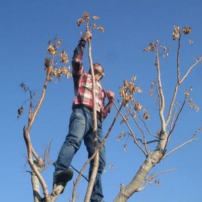 Profile Picture of Mohammad Jamal (@mohammadjamal19) on Twitter