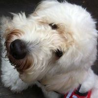 Profile Picture of Kenny Burrows (@kenny-burrows-5) on Quora