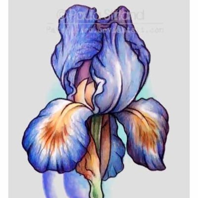 Profile Picture of Iris Solomon (@IrisSol31525462) on Twitter