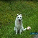 Profile Picture of Ernst Schneider (@schneiderernst) on Instagram