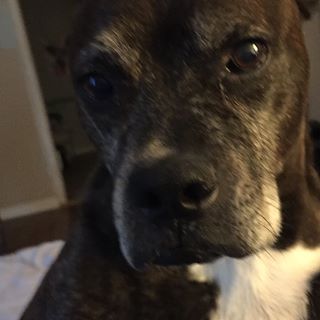 Profile Picture of Jacque Avant (@Jacque-Avant) on Facebook