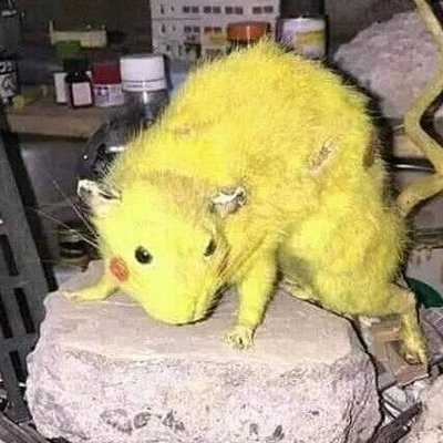 Profile Picture of Leo Welch (@LeoWelch13) on Twitter