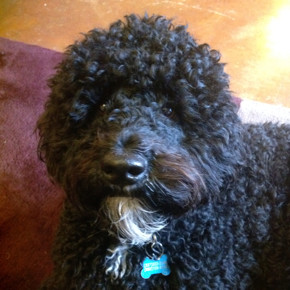 Profile Picture of Erika Lindholm (@elindh) on Poshmark