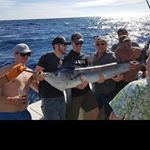 Profile Picture of mitch hobbins (@mitchhobbins44) on Instagram