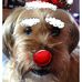 Profile Picture of Lucy Wegener (@lucy.wegener.37) on Facebook