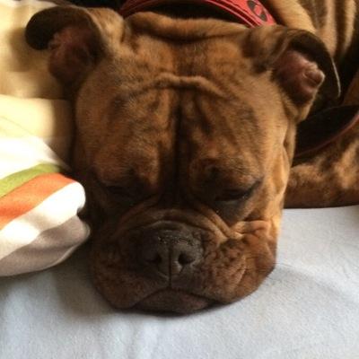 Profile Picture of Michele Ben Ramm (@ramm_ben) on Twitter