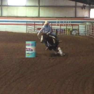 Profile Picture of Danielle Belcher (@danibelcher) on Twitter