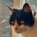 Profile Picture of Adam Bosley (@adam.bosley.35) on Facebook