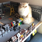 Dzin Le - Flickr Profile Picture of Dzin Le (@le.dzin) on Flickr