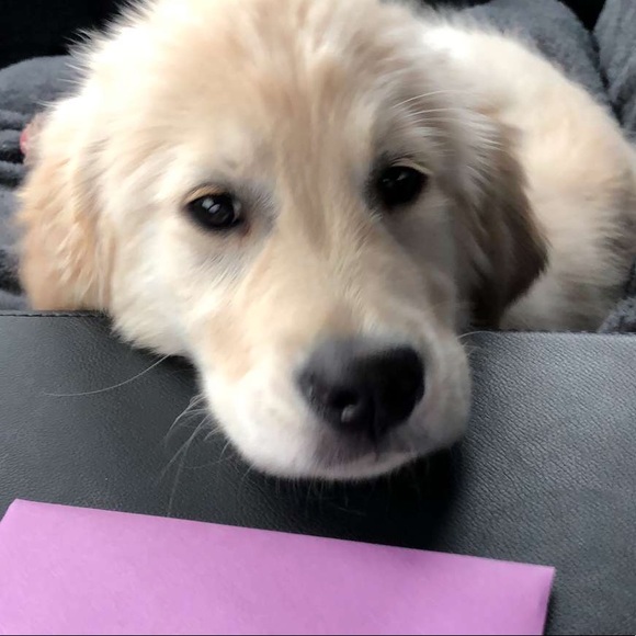 Profile Picture of Sami Oleksa (@samimo8) on Poshmark