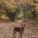 Profile Picture of Joanna Morehouse (@joanna.morehouse.7) on Facebook