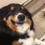 Profile Picture of patrick star (@tinker_taco) on Instagram