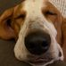 Profile Picture of David Otten (@david.otten.547) on Facebook