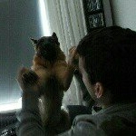 Profile Picture of Dennis Huygens (@catweasel29) on Instagram