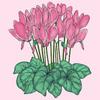 Profile Picture of Kate Burnside15 (@@kateburnside15) on Tiktok