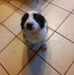 Profile Picture of David Faure (@david.faure.334491) on Facebook