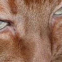 Profile Picture of Paul Kotas (@paul-kotas-1) on Quora