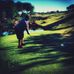 Profile Picture of Blake Ogletree (@profile.php) on Facebook