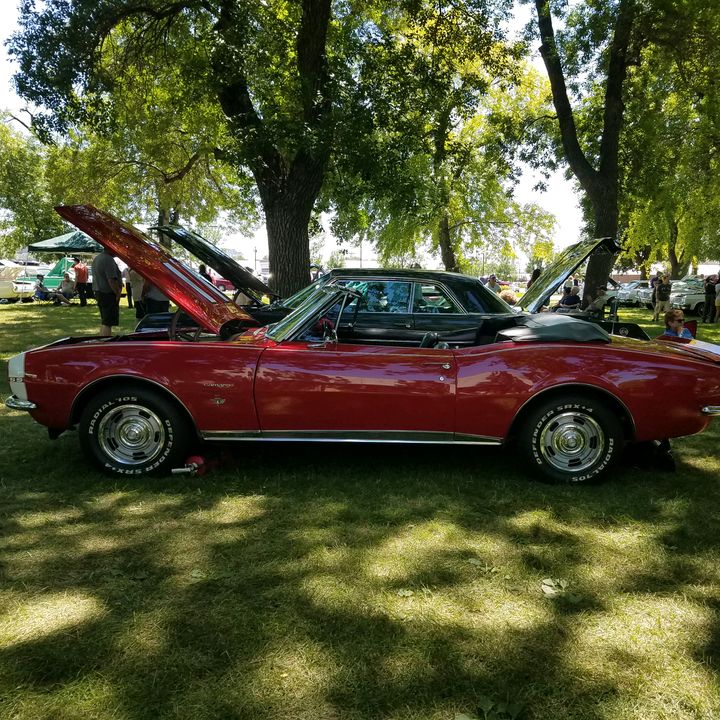 Profile Picture of bradleyconfer (@bradleyconfer) on Tiktok