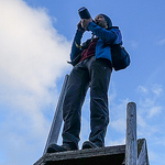 Profile Picture of Dani Meier Sg (@dani meier sg) on Flickr
